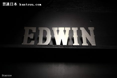 ձţпƷEdwin 2010＾װϵ