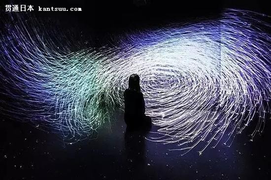  The Way of Birds - Seated Contemplation,teamLab, 2015